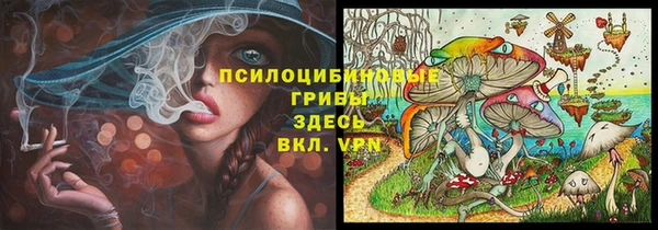 дурь Аркадак