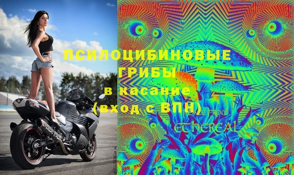 дурь Аркадак