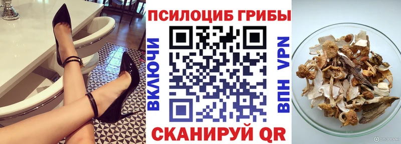 Псилоцибиновые грибы Psilocybe  купить закладку  Иланский 